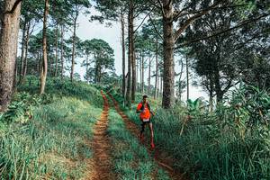 BIB: 
                            <button type="button" onclick="openModal(25652639)" class="btn btn-primary btn-sm float-right btn-popup" data-toggle="modal" data-target=".modal-high-quality">
                        <i class="fas fa-shopping-cart"></i> Add to Cart
                    </button>
                                            <button type="button" onclick="isThisMe(25652639, true)" class="btn btn-success btn-sm float-right btn-popup btn-isme hidden" data-toggle="tooltip" data-placement="bottom" title="นี่คือรูปของคุณใช่ไหม คลิกที่นี่เพื่อเอาเข้าอัลบั้ม">
                        <i class="fas fa-plus"></i> Add to album
                    </button>
                    <button type="button" onclick="isThisMe(25652639, false)" class="btn btn-warning btn-sm float-right btn-popup btn-isnotme hidden">
                        <i class="fas fa-ban"></i> Remove from album
                    </button>